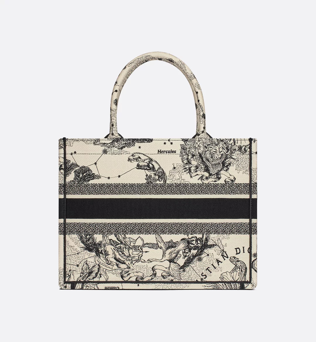 Sac Dior Book Tote Moyen