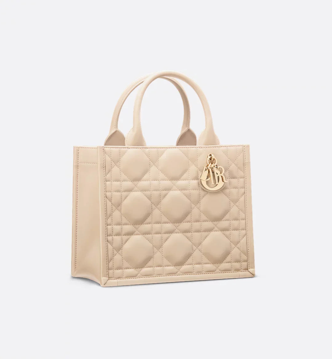 Petit Sac Book Tote
