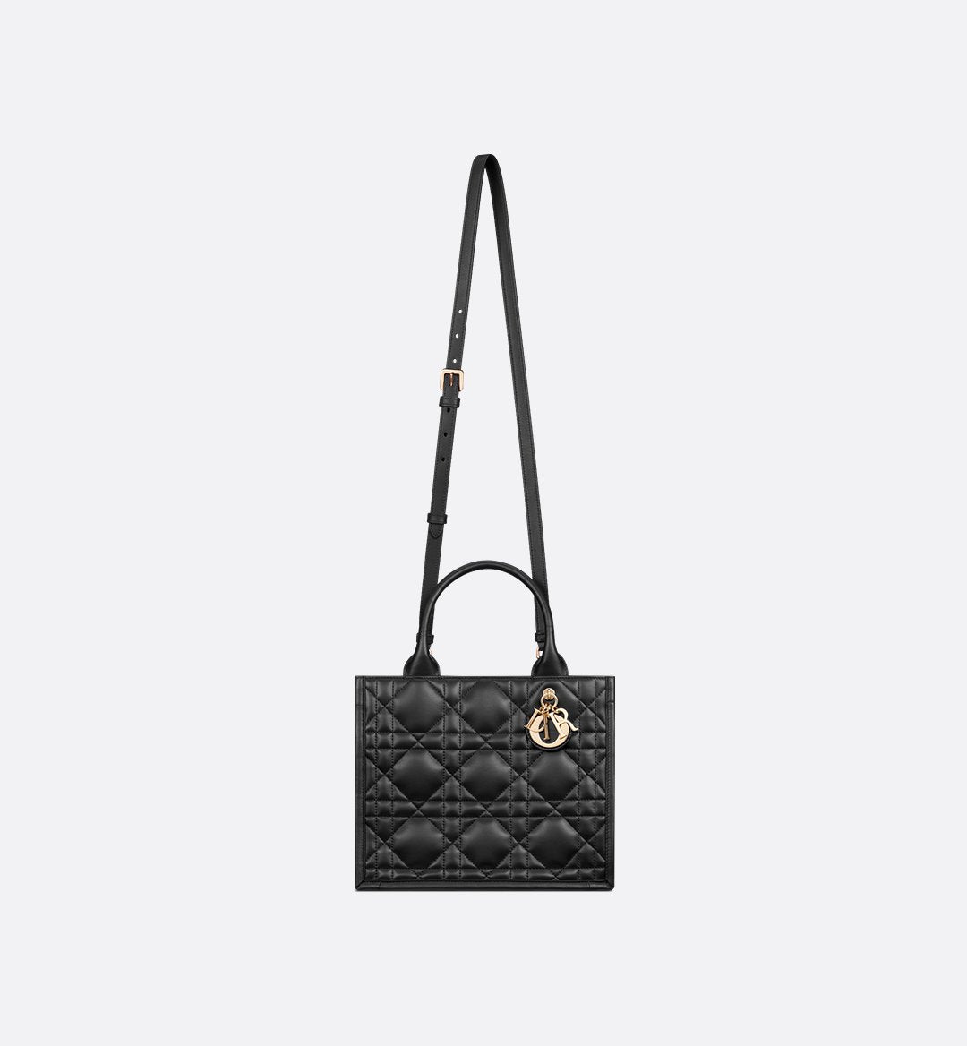 Petit Sac Book Tote