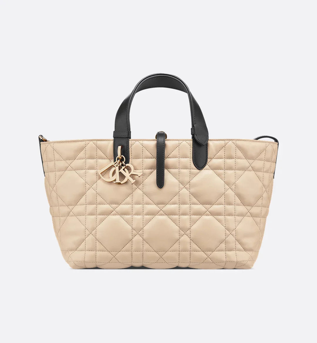 Sac Dior Toujours