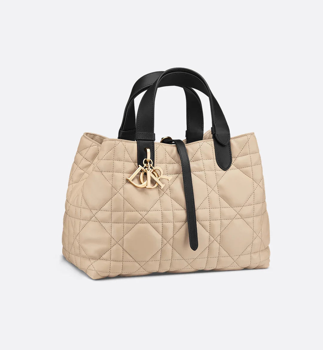 Sac Dior Toujours